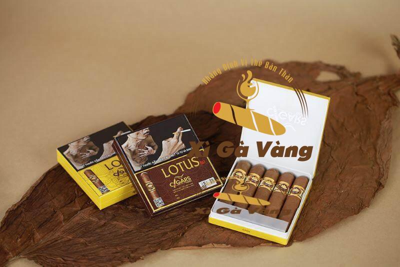 Cigar Lotus có hương vị đặc trưng riêng